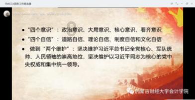 可爱小猫向上跳